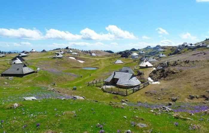 Koca Predilnica Velika Planina Villa Kamniska Bistrica Kültér fotó