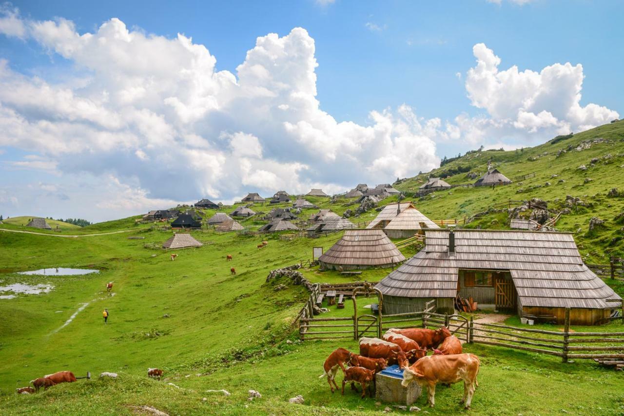 Koca Predilnica Velika Planina Villa Kamniska Bistrica Kültér fotó